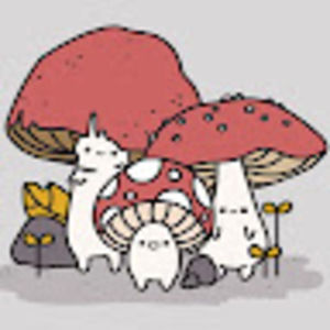 Meet your Posher, Alana